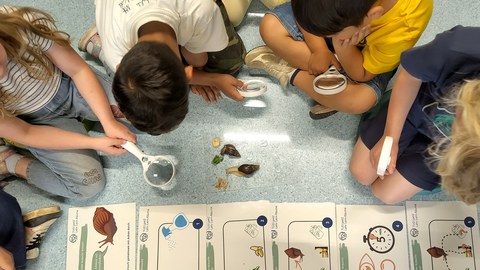 Kinder sitzen auf dem Boden und führen anhand einer bebilderten Versuchsanleitung einen Versuch zur Nahrungspräferenz der Achatschnecke durch