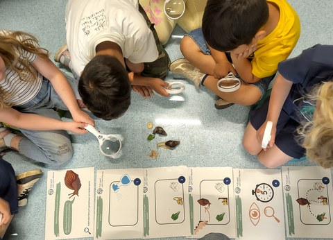 Kinder sitzen auf dem Boden und führen anhand einer bebilderten Versuchsanleitung einen Versuch zur Nahrungspräferenz der Achatschnecke durch
