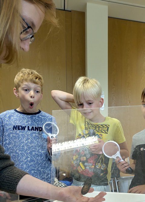 Kinder staunen über eine Fauchschabe, die senkrecht an einer Glasscheibe krabbelt