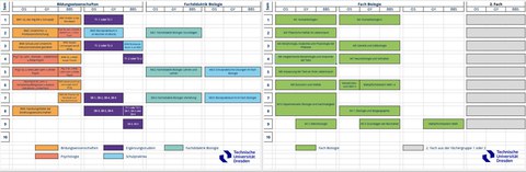 Im Bild werden die Module des Lehramtsstudiengangs Biologie aus den Bildungswissenschaften, dem Fach Biologie für jedes der Fachsemester 1 bis 10 und den drei Schulformen (Gymnasium, Oberschule, Berufsschule) tabellarisch aufgeführt.