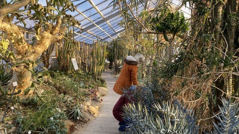 Bild im Kartenhaus des Botanischen Gartens