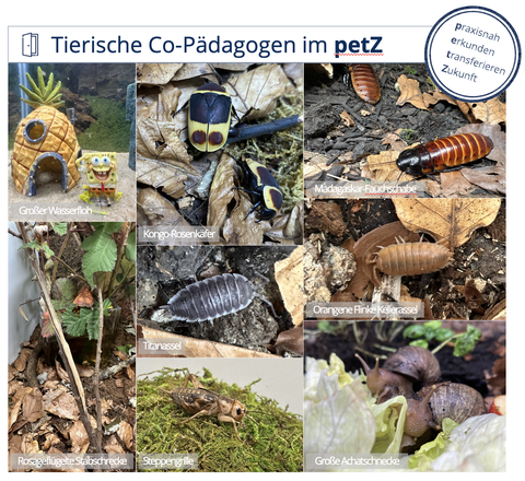 Tiercollage