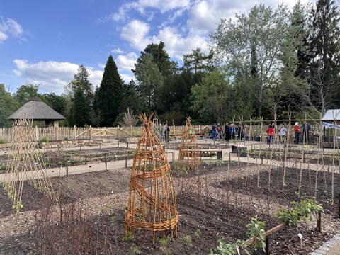 Beete im Lehr-Schulgarten