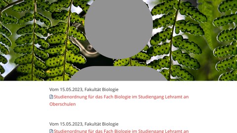 Bild mit grauer Person vor Hintergrund mit Farn. Unten ein Screenshot. 