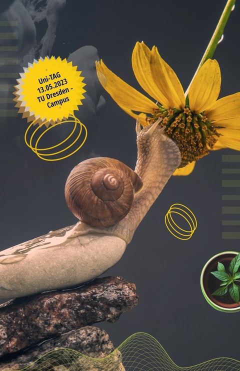 Blüte mit Schnecke