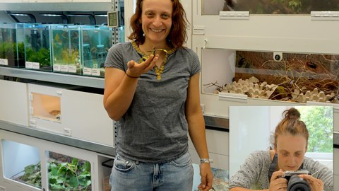 Frau mit Gespenstschrecke auf der Hand