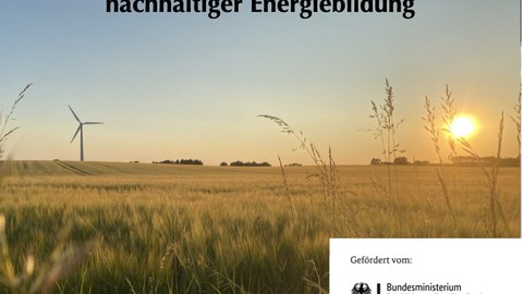 Windräder auf einem Feld