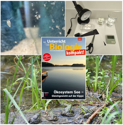Cover mit Bilder im Hintergrund vom See