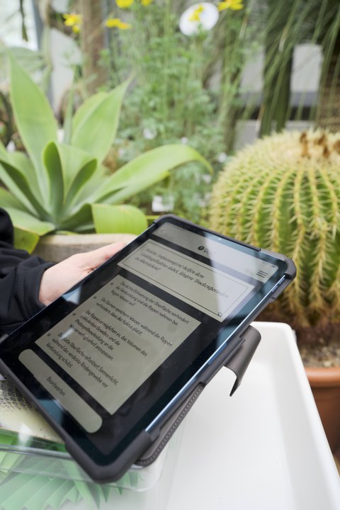 Tablet im Vordergrund; Pflanzen im Hintergrund