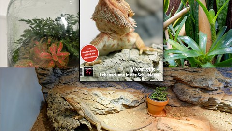 Terrarium und Titelseite Vivaristik Kompaktheft