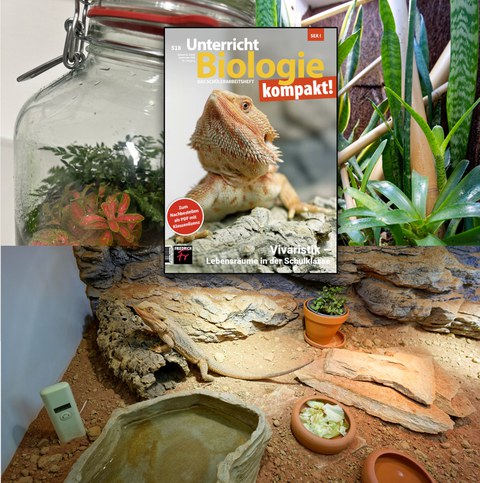 Terrarium und Titelseite Vivaristik Kompaktheft