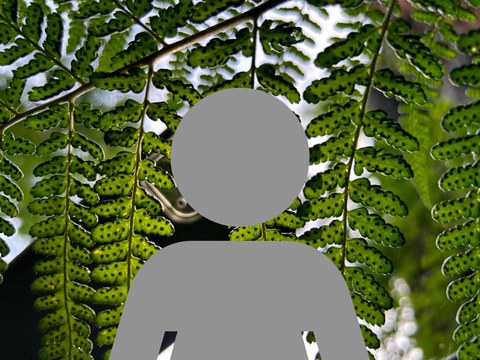 grau Figur vor grüner Pflanze