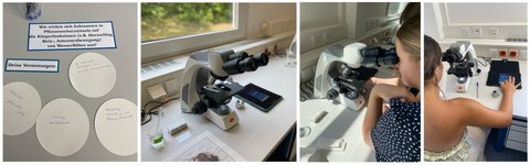 Collage mit Mikroskop