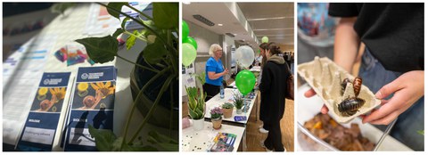 Collage mit Stand zum Unitag und Fauchschaben
