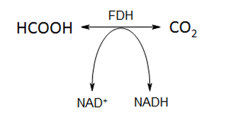 FDH
