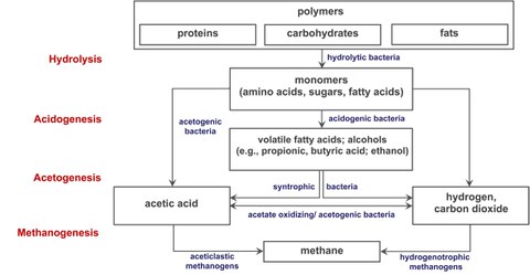 Biomass degradation