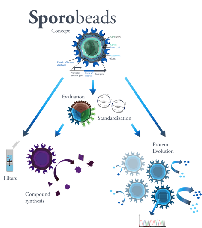 microbiome sporebiotic