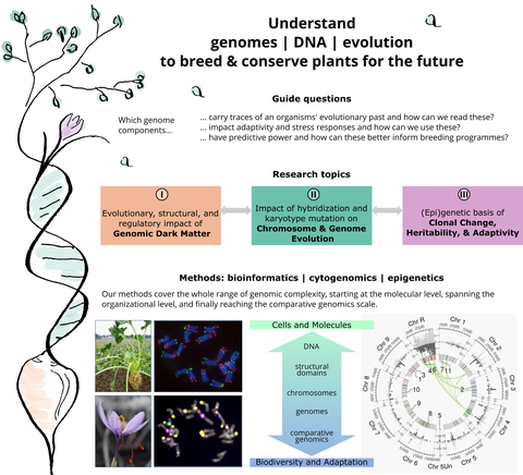 Group Plant Genomics: Reserach