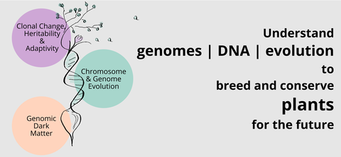 Group Plant Genomics