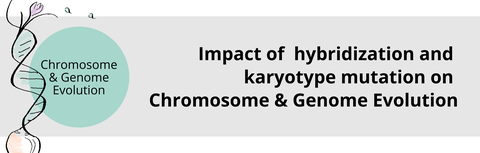 Group Plant Genomics Research Pillar 2: Chromosome and Genome Evolution