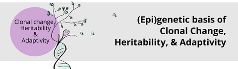 Group Plant Genomics Research Pillar 3: Epigenetics