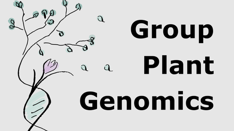 Group Plant Genomics