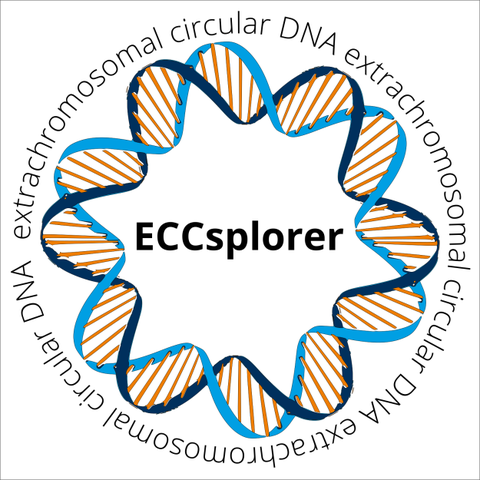 Logo ECCsplorer