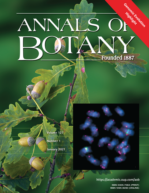 Annals of Botany Inset Cover: Maiwald et al. 2021