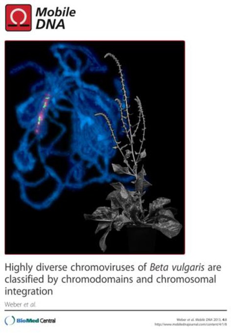 Cover of the chromovirus paper in Mobile DNA