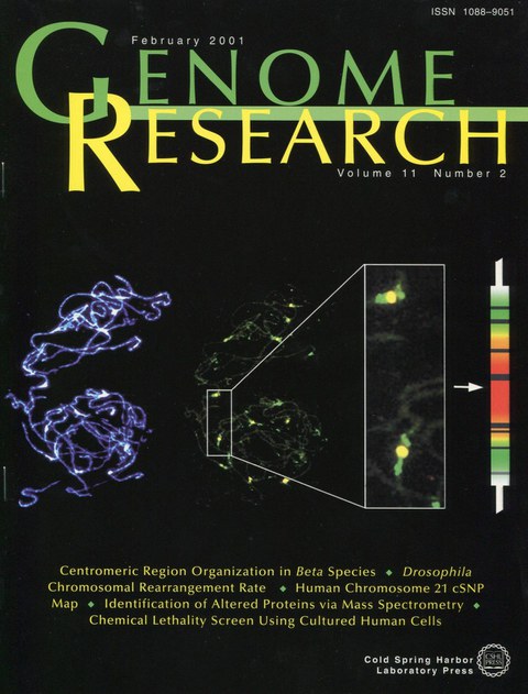 Gindullis, F., C. Desel, I. Galasso, T. Schmidt (2001): The large-scale organization of centromeric DNA in Beta species. Genome Res. 11:253-265