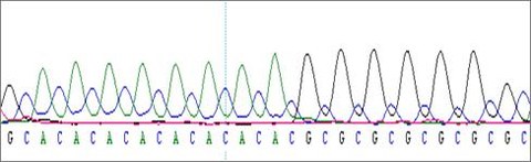 DNA-Sequenzierung