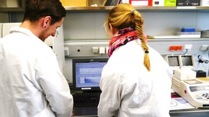 Molbio Pflanzen Lehre