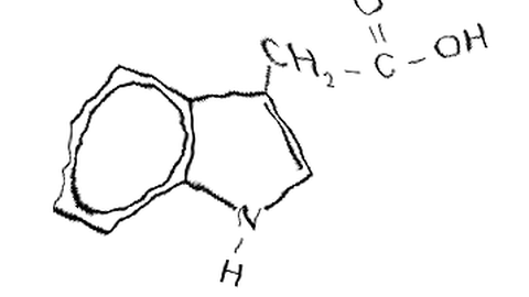 IAA alkohol