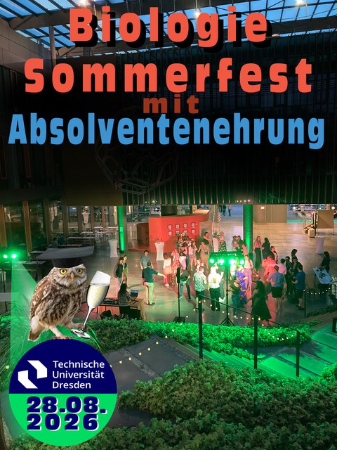 Sommerfest Plakat