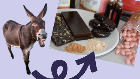 donkey and products made from ejido