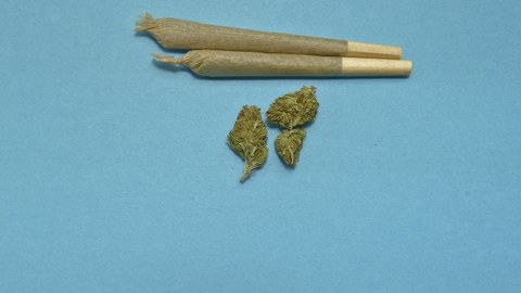 Two Joints and dried cannabis plant