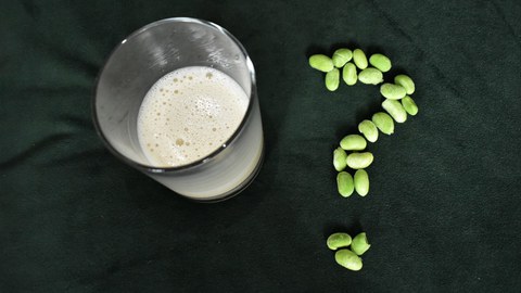 soy milk and soy beans