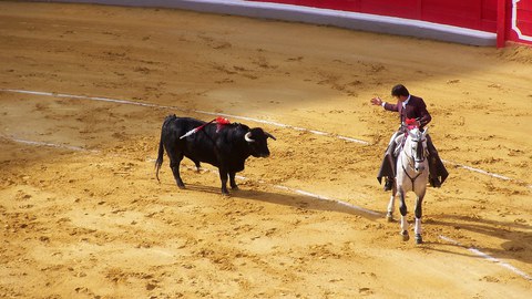 Stierkämpfer und Stier in der Stierkampfarena