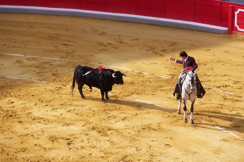 Stierkämpfer und Stier in der Stierkampfarena