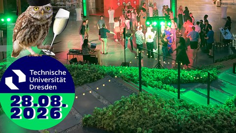 Sommerparty 