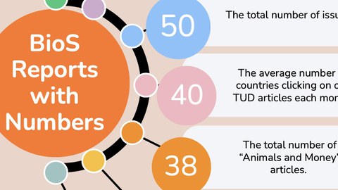 BiosS News Statistik