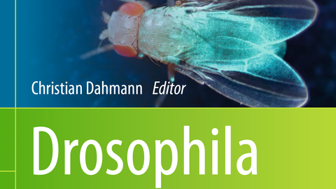 The third edition of the book “Drosophila: Methods and Protocols” has been released.