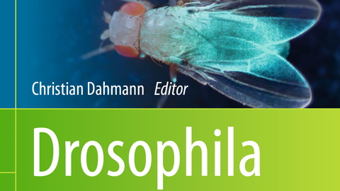 Die dritte Auflage des Buches “Drosophila: Methods and Protocols” ist erschienen.