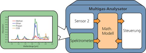 multiflex