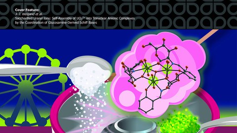 Saccharified uranyl ions