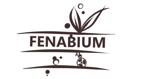 Fenabium Logo_2