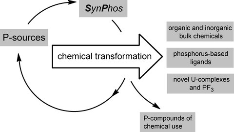 SynPhos_2