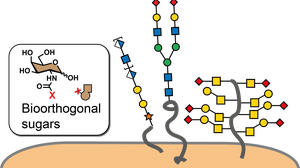 Research overview