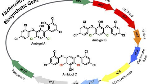 TM_Org_Chem_Front