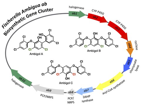 TM_Org_Chem_Front